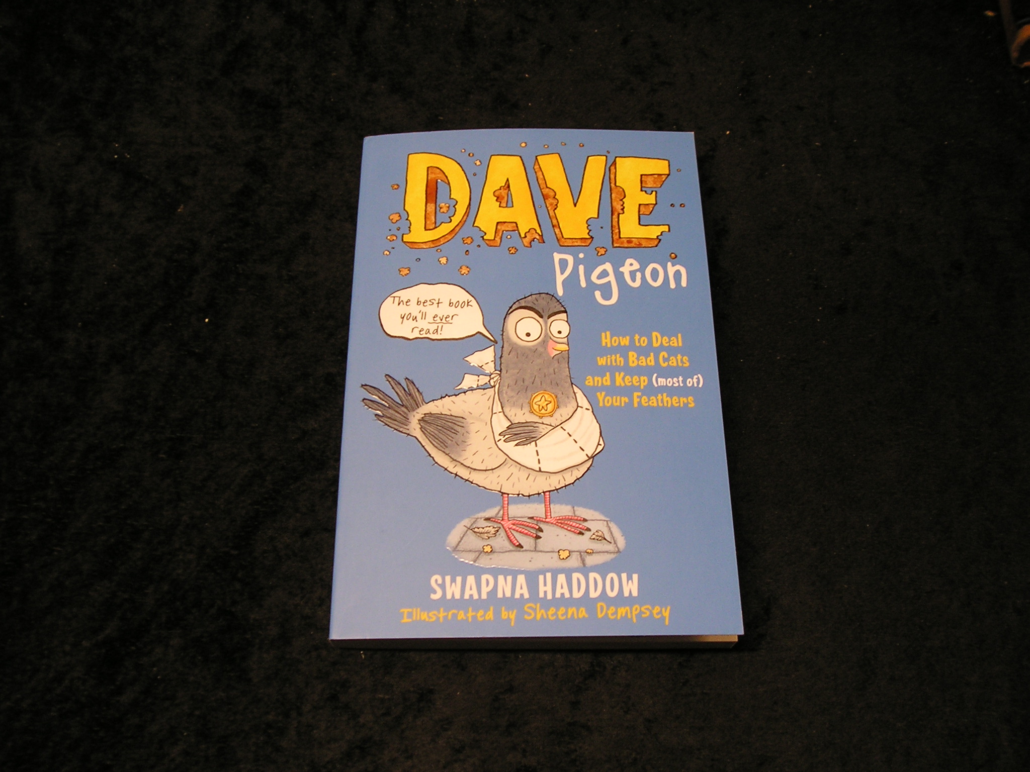 Image 0 of Dave Pigeon