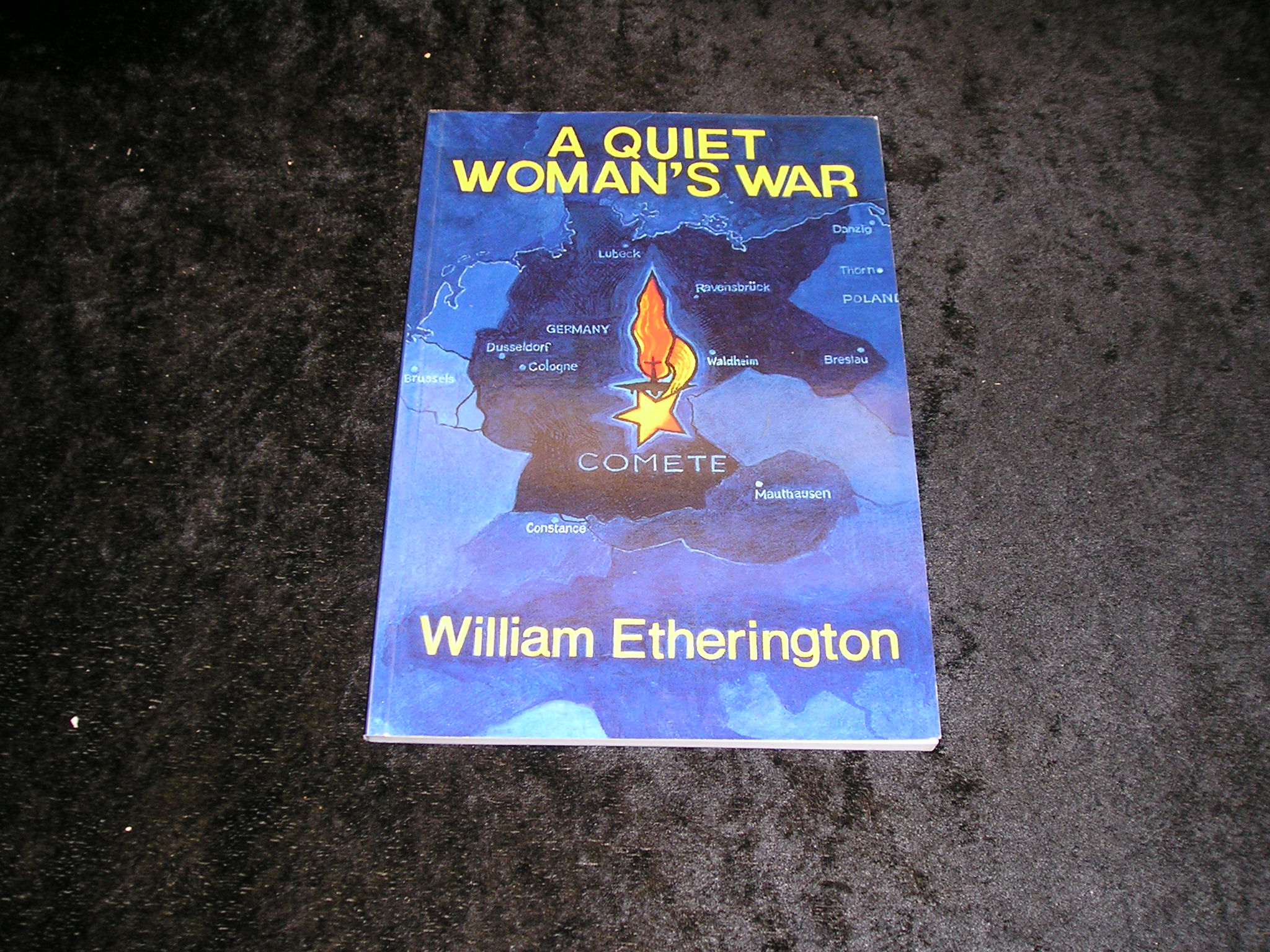 Image 0 of A Quiet Woman's War