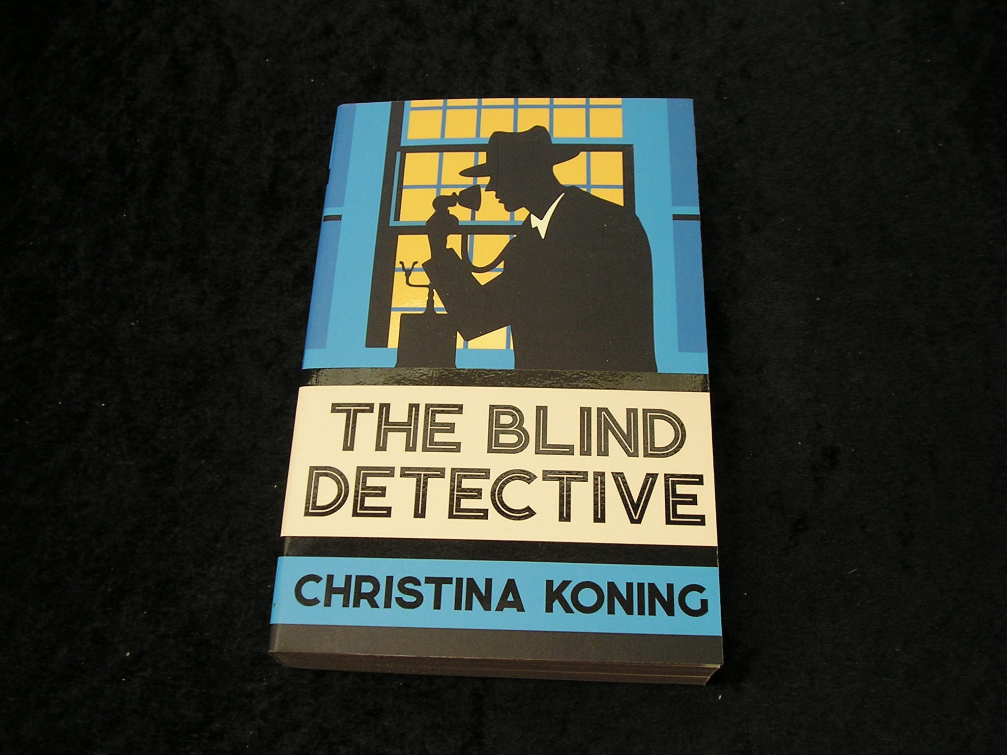 Image 0 of The Blind detective