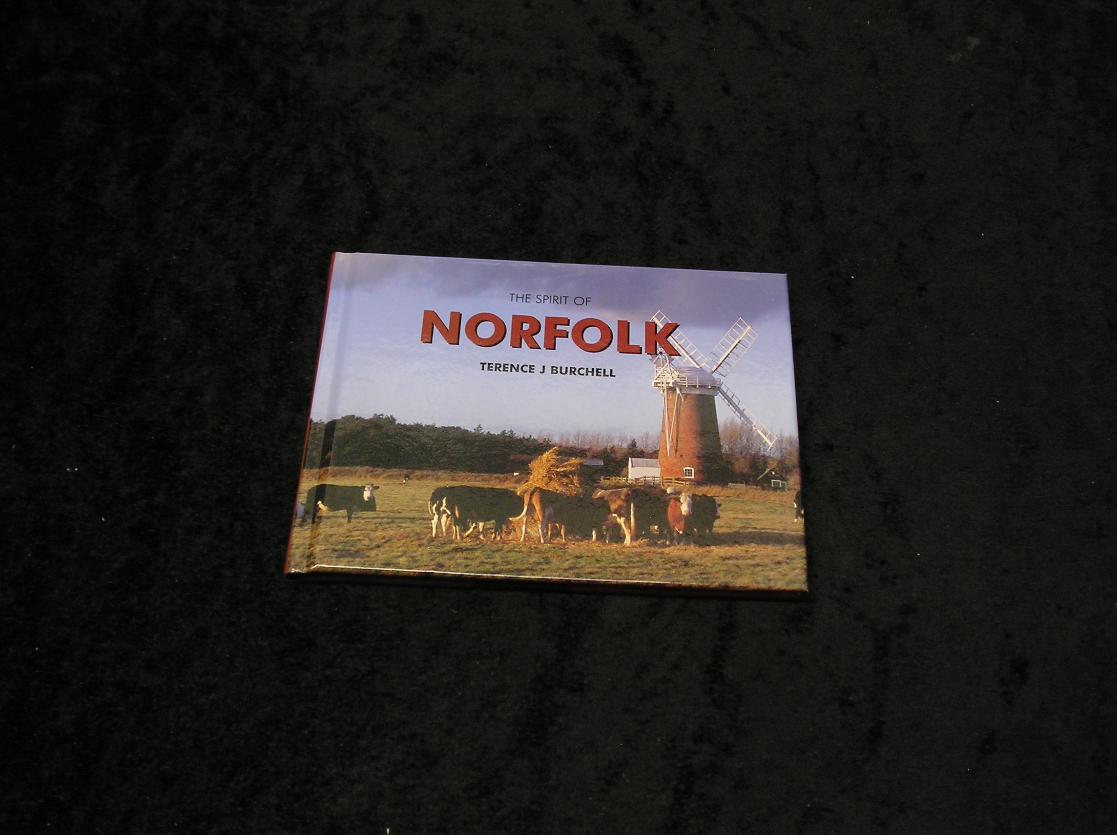 Image 0 of The Spirit of Norfolk