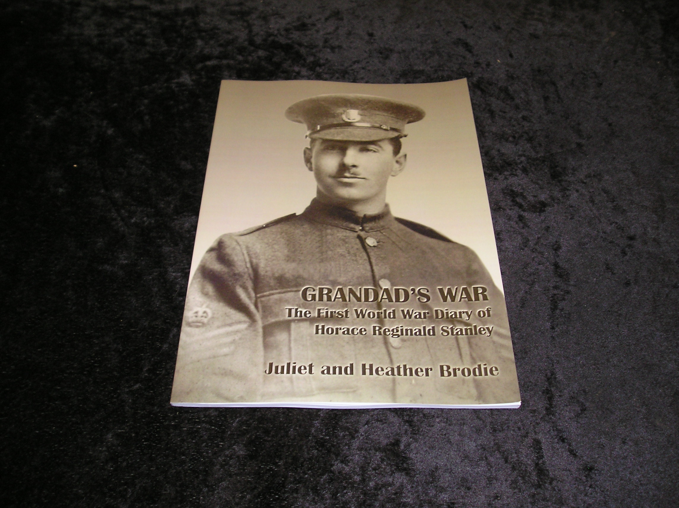 Grandad's War The First World War Diary of Horace Reginald Stanley