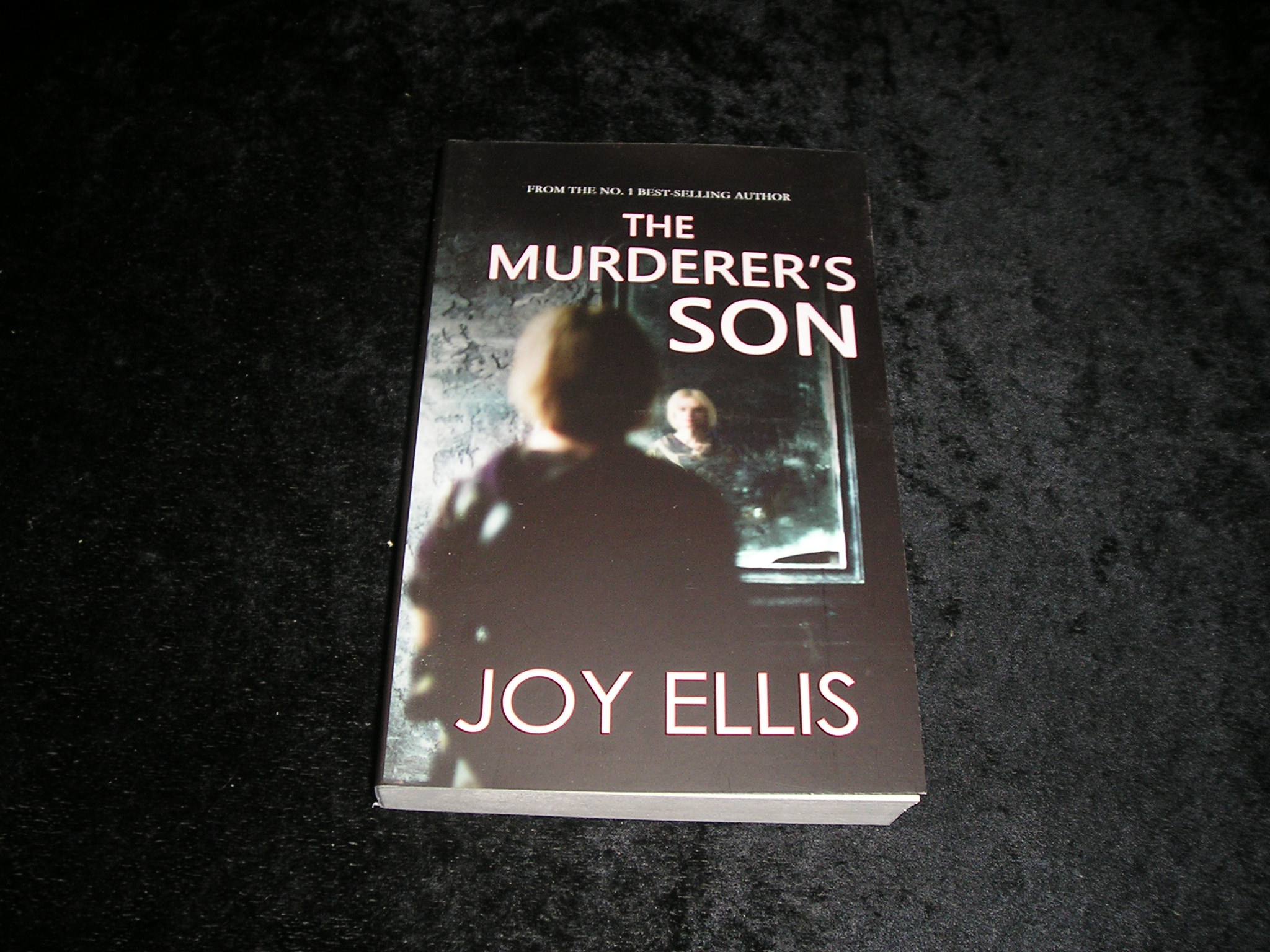 Image 0 of The Murderer's Son