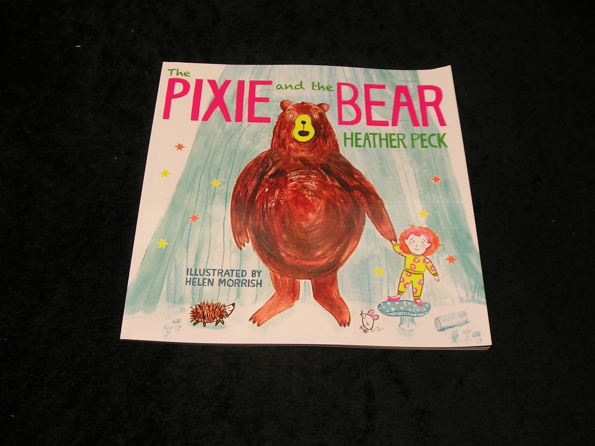 Image 0 of The Pixie and the Bear