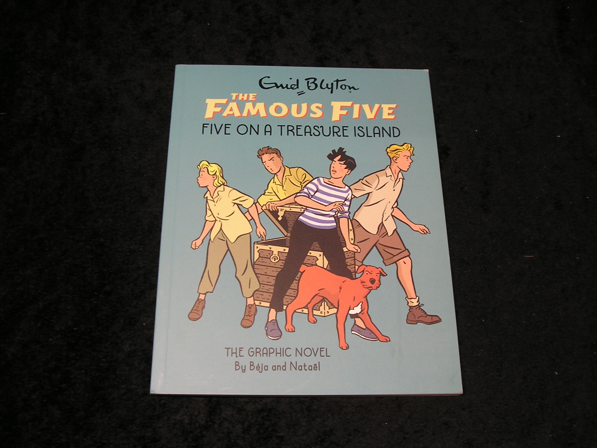 Image 0 of The Famous Five on a Treasure Island a Graphic Novel