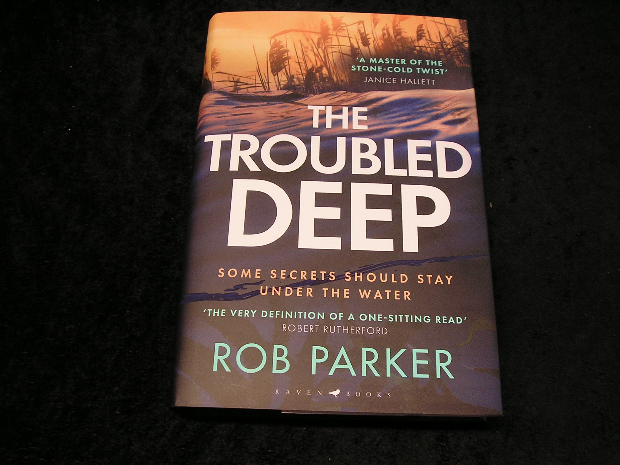 Image 0 of The Troubled Deep