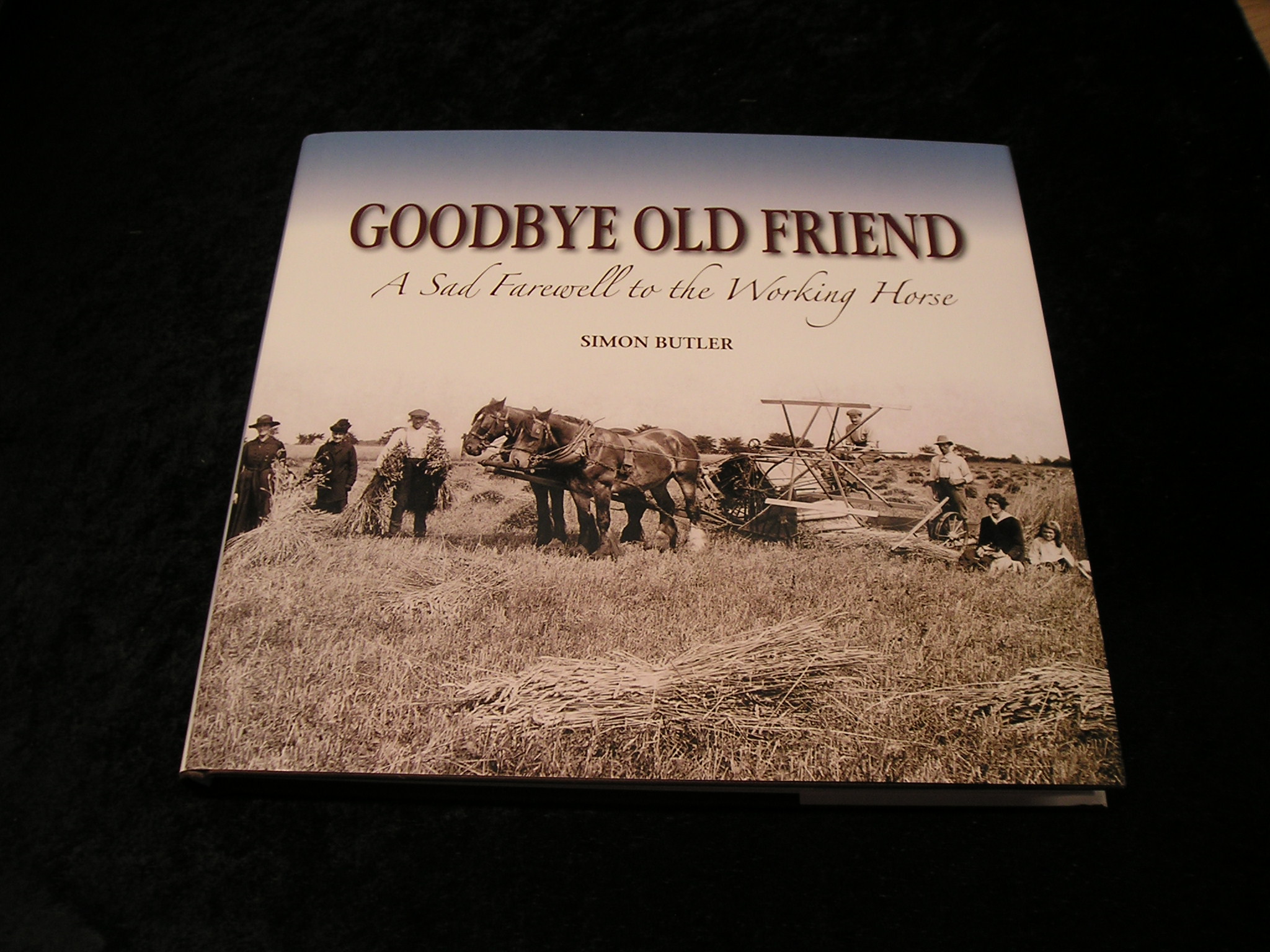 Image 0 of Goodbye Old Friend aSad Farewell to the Working Horse