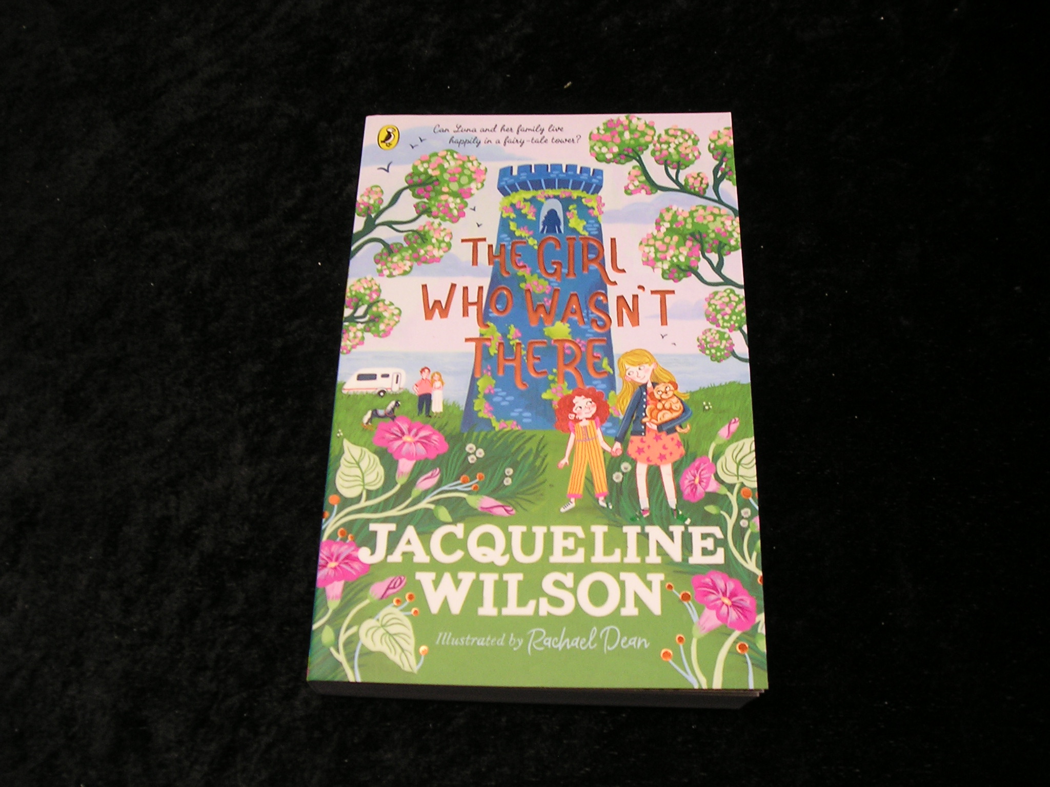 Image 0 of The Girl Who Wasn't There