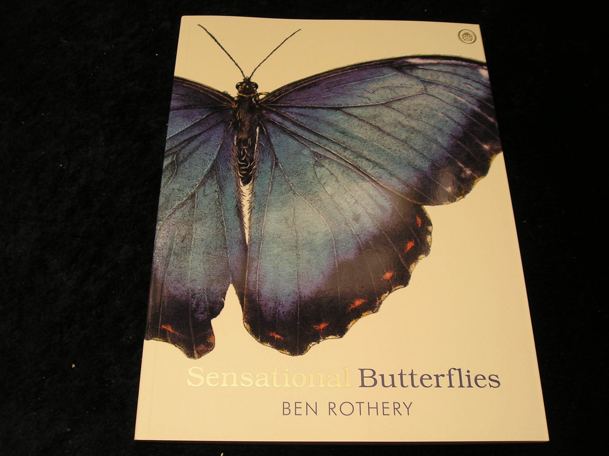 Image 0 of Sensatonal Butterflies