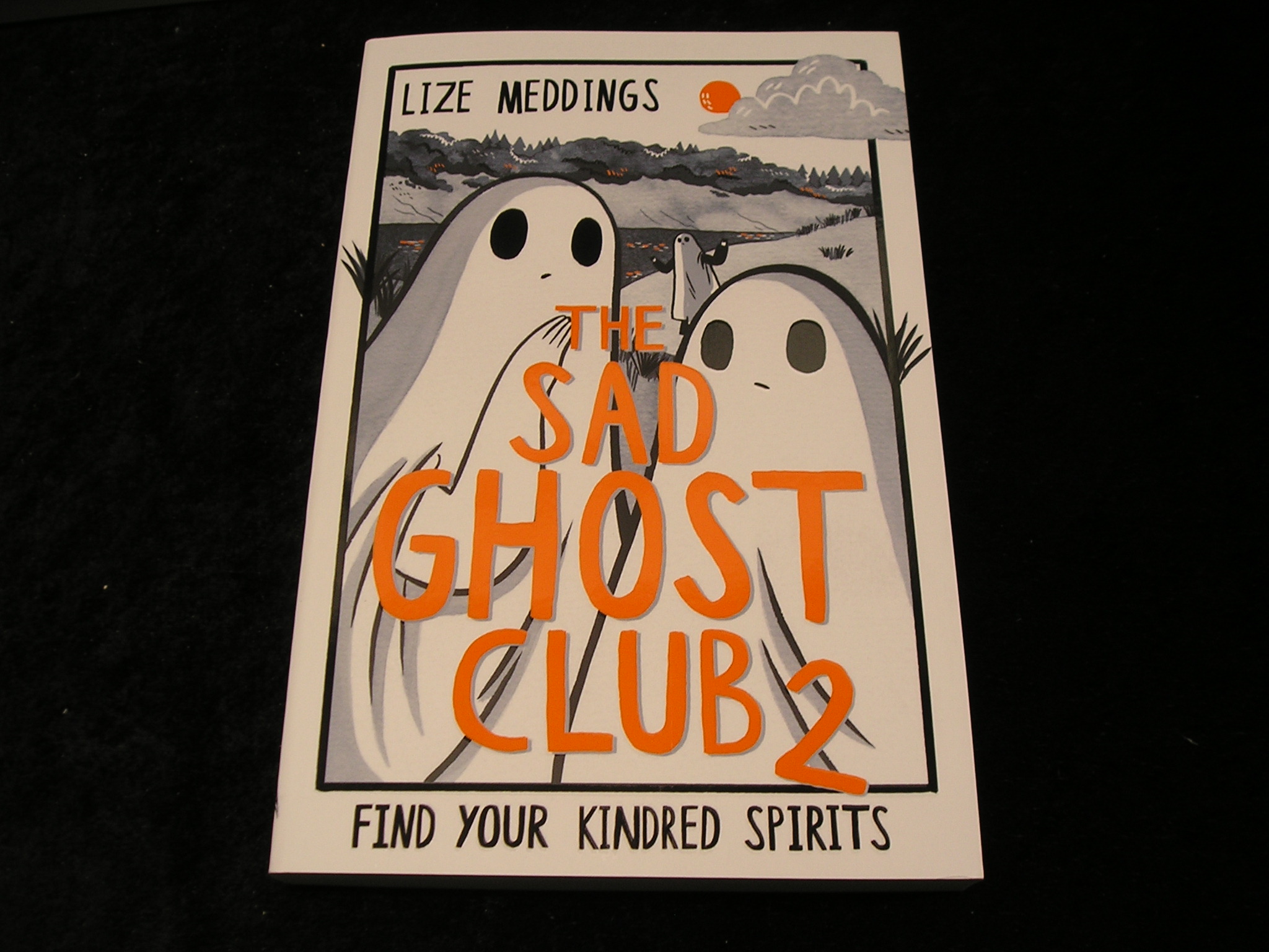 Image 0 of The sad Ghost Club 2