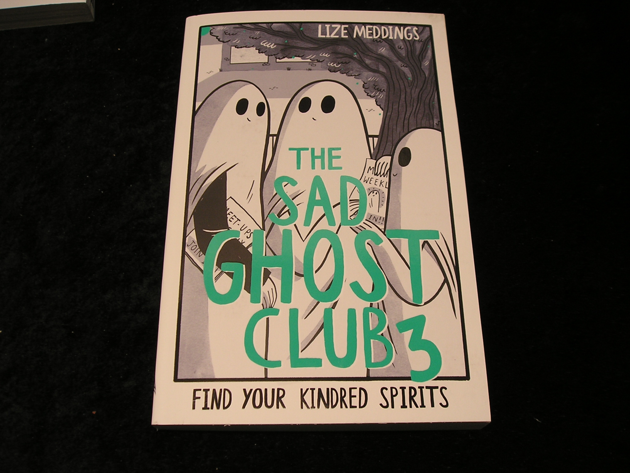 Image 0 of The sad Ghost Club 3