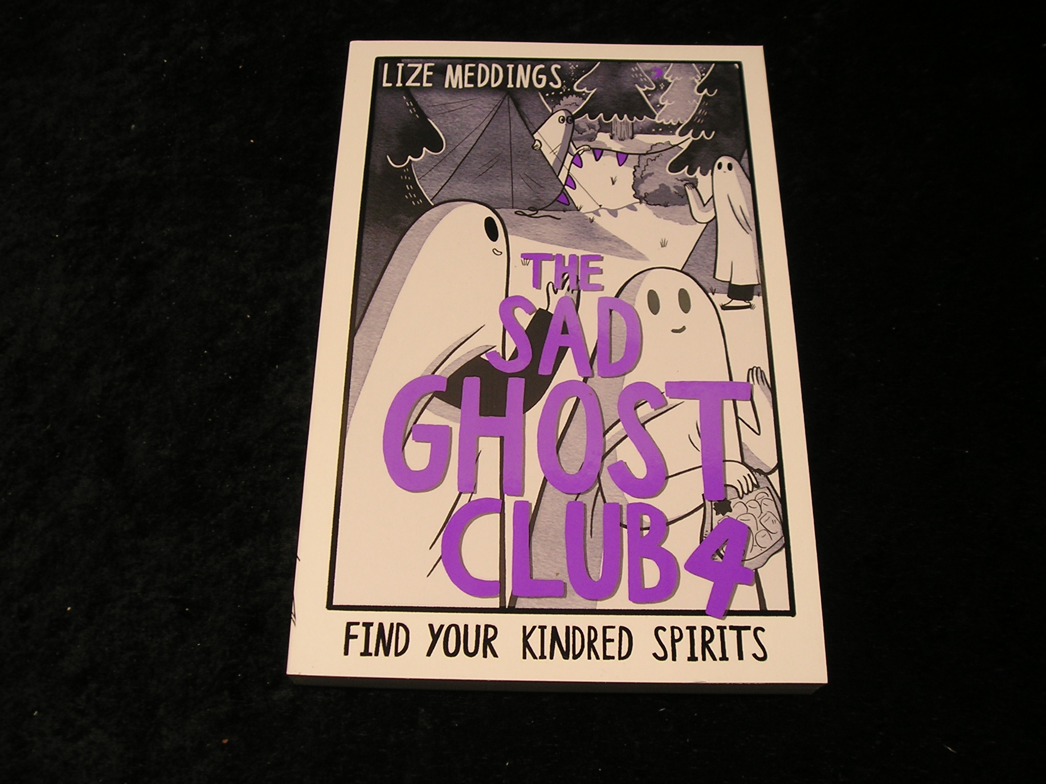 Image 0 of The sad Ghost Club 4