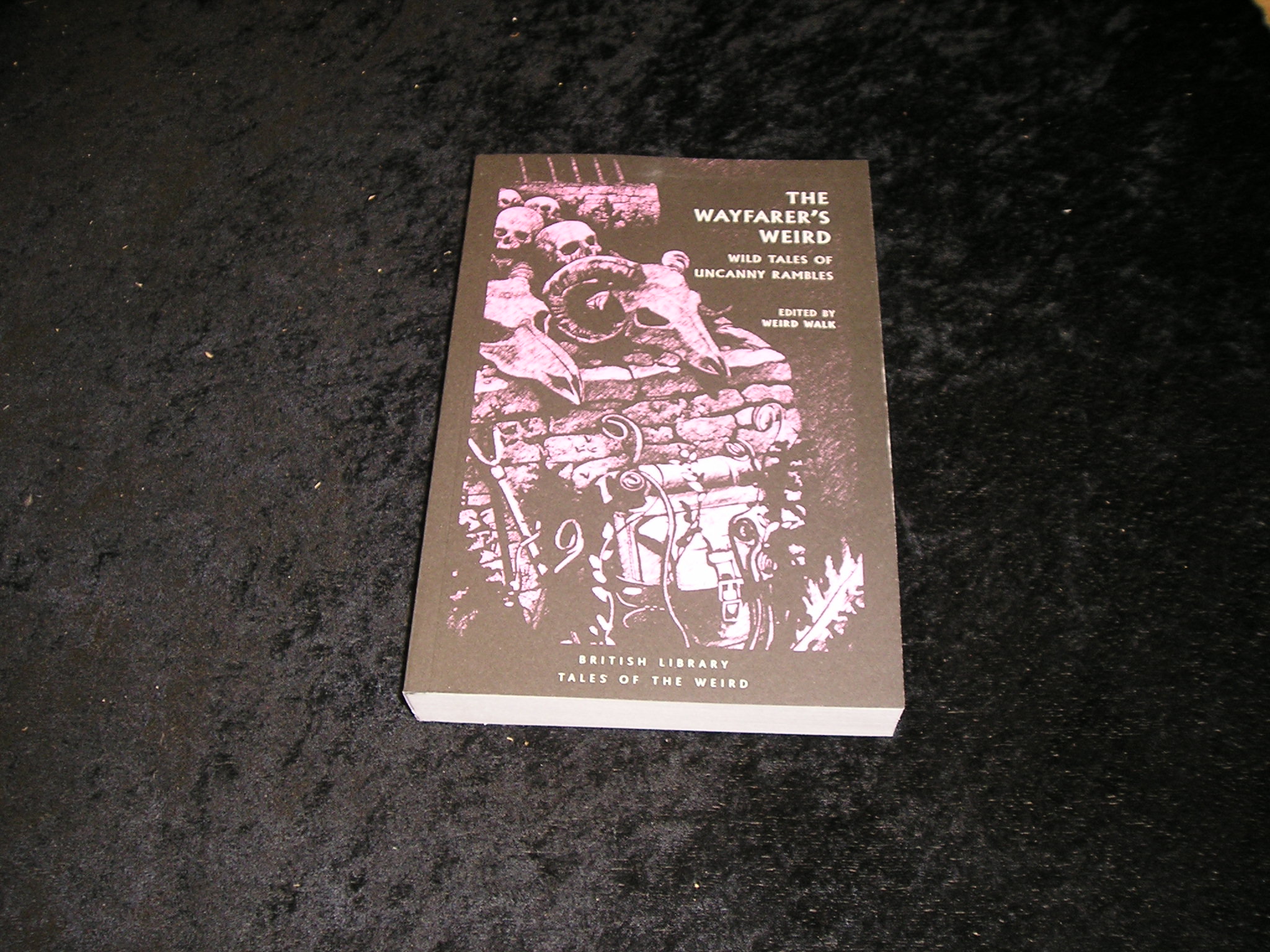 Image 0 of The Wayfarer's Weird