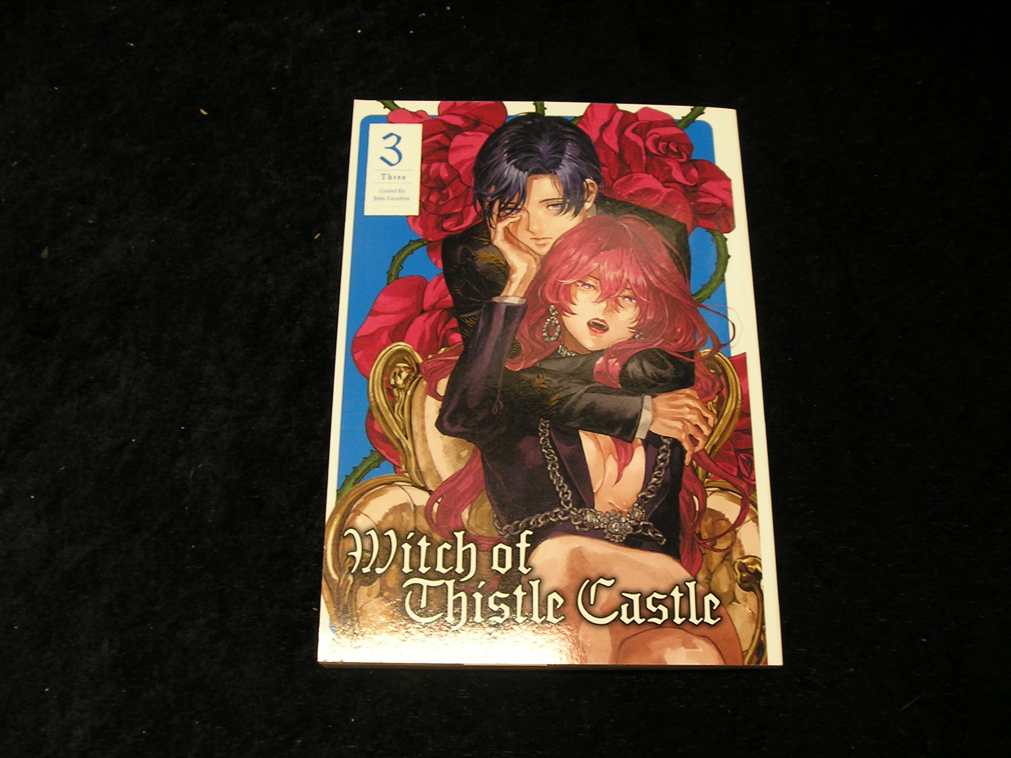 Image 0 of Witch of Thistle Castle Vol 3