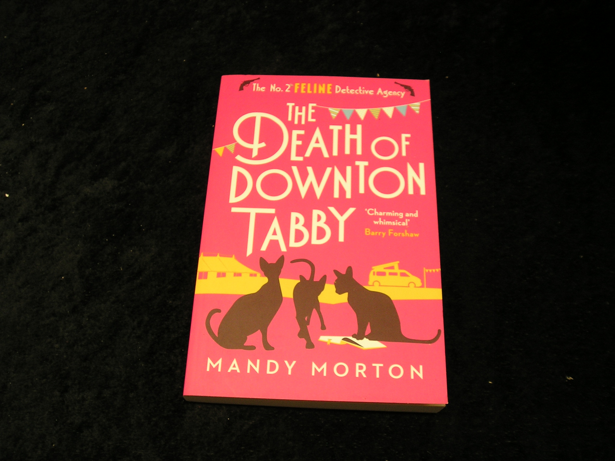 Image 0 of The Death of Downton Tabby