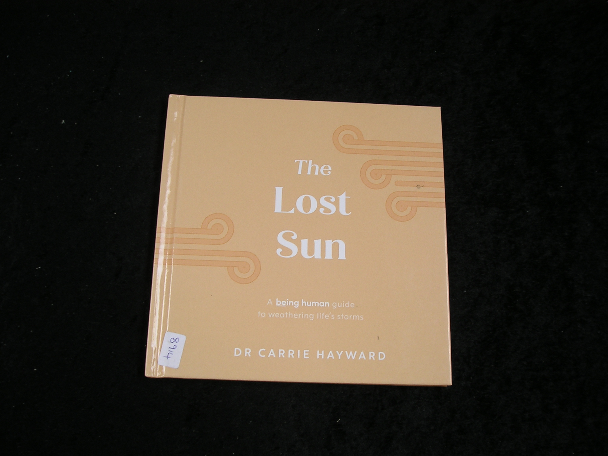 Image 0 of The Lost Sun