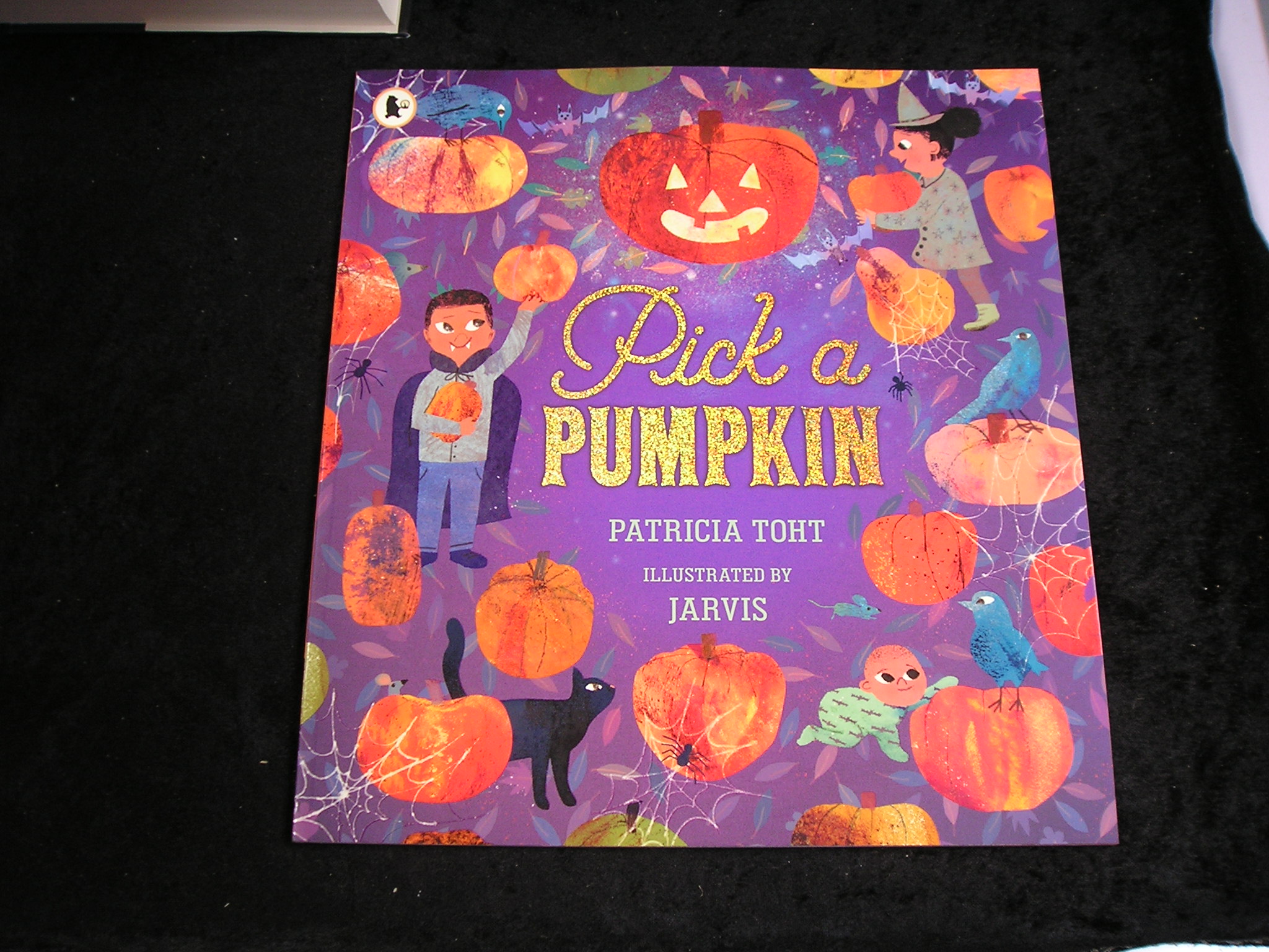 Image 0 of Pick a Pumpkin