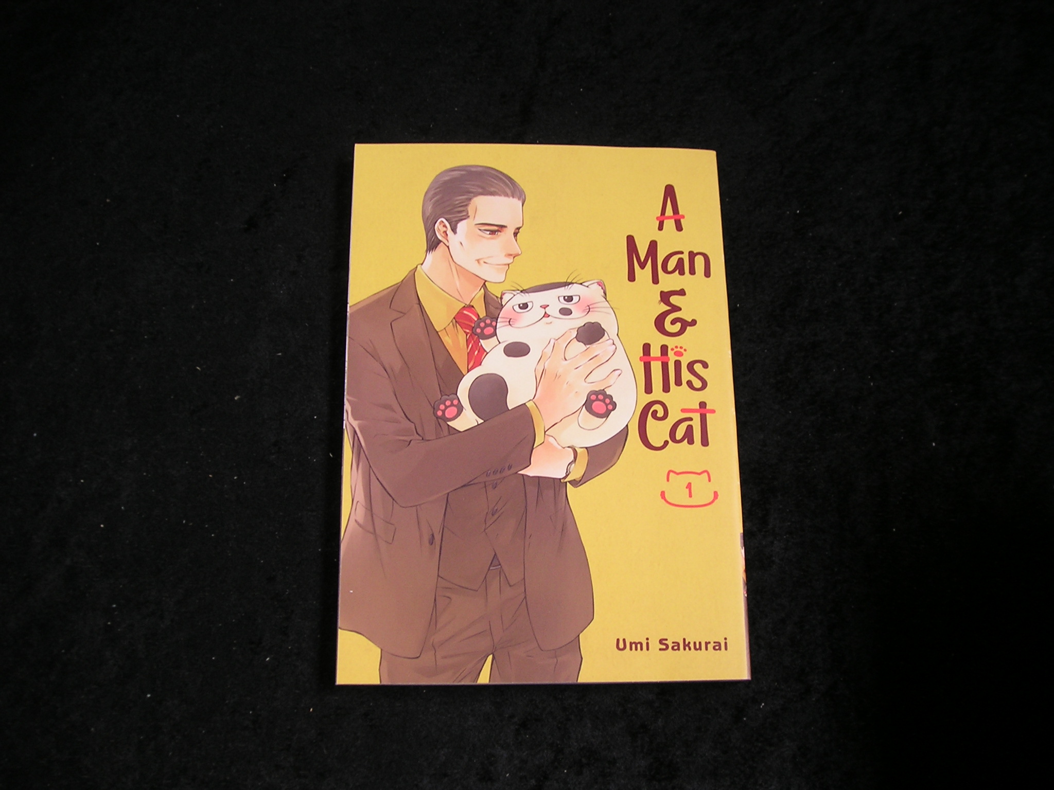 A Man and His catVol 1