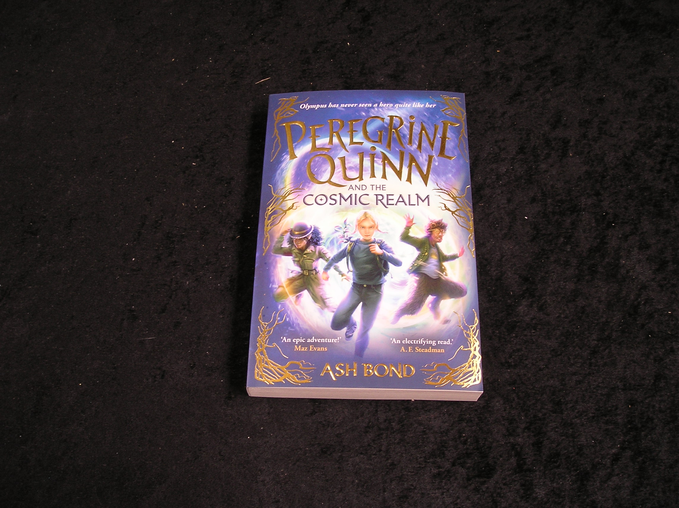 Image 0 of Peregrine Quinn and the Cosmic Realm