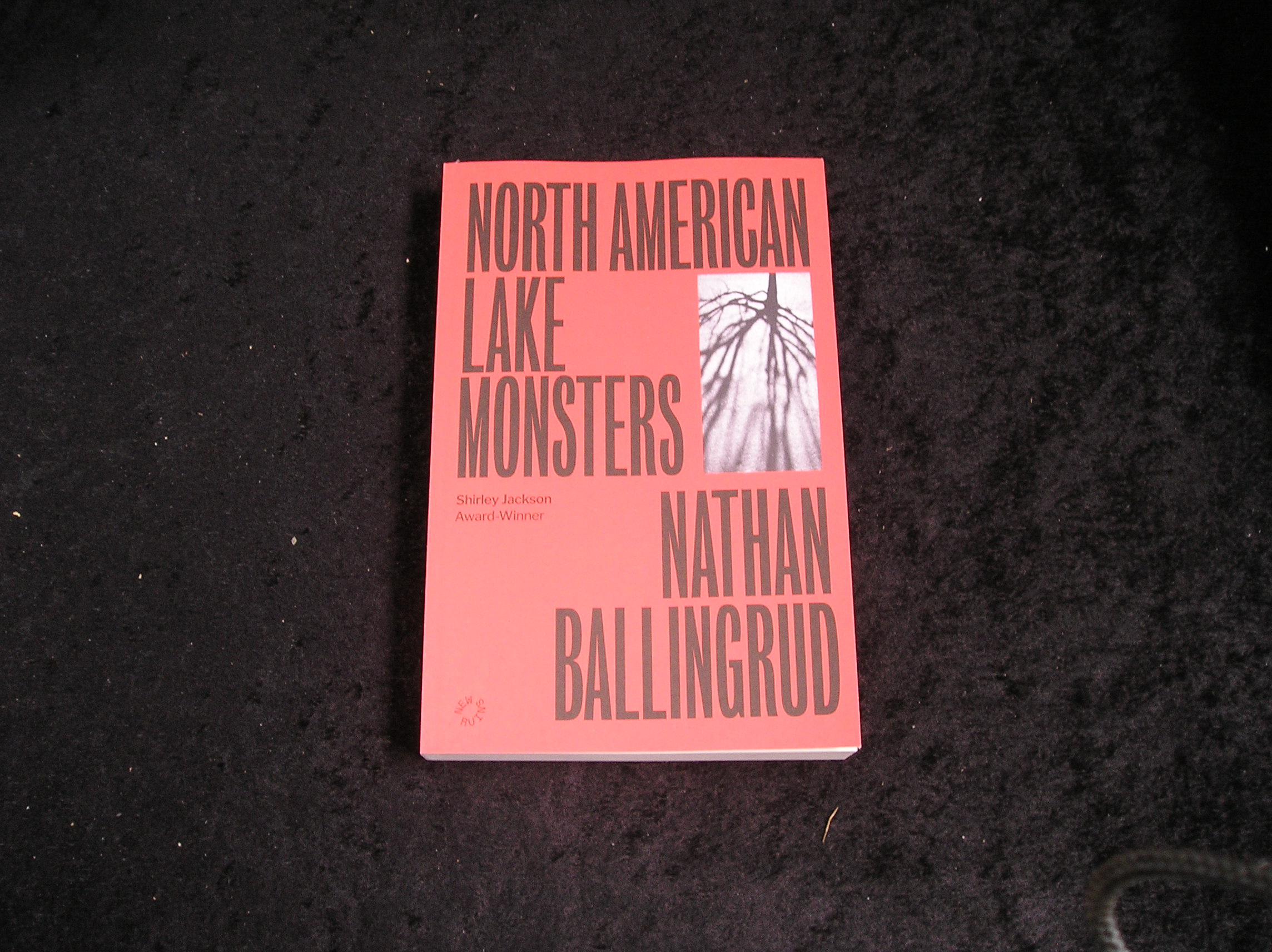 Image 0 of North American Lake Monsters