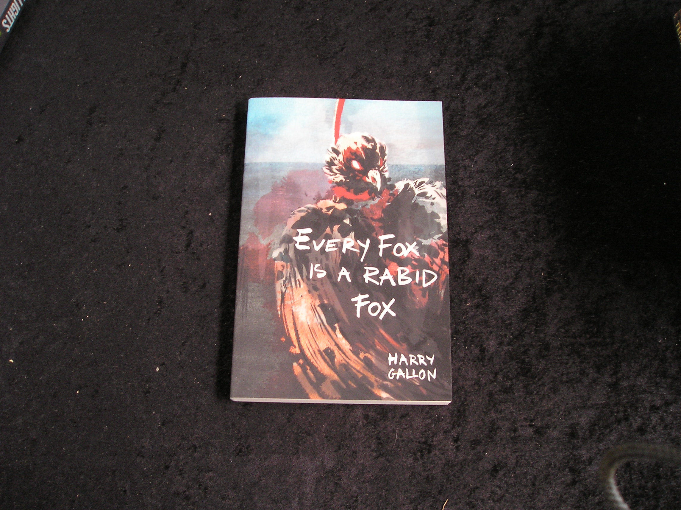 Image 0 of Every Fox is a Rabid Fox