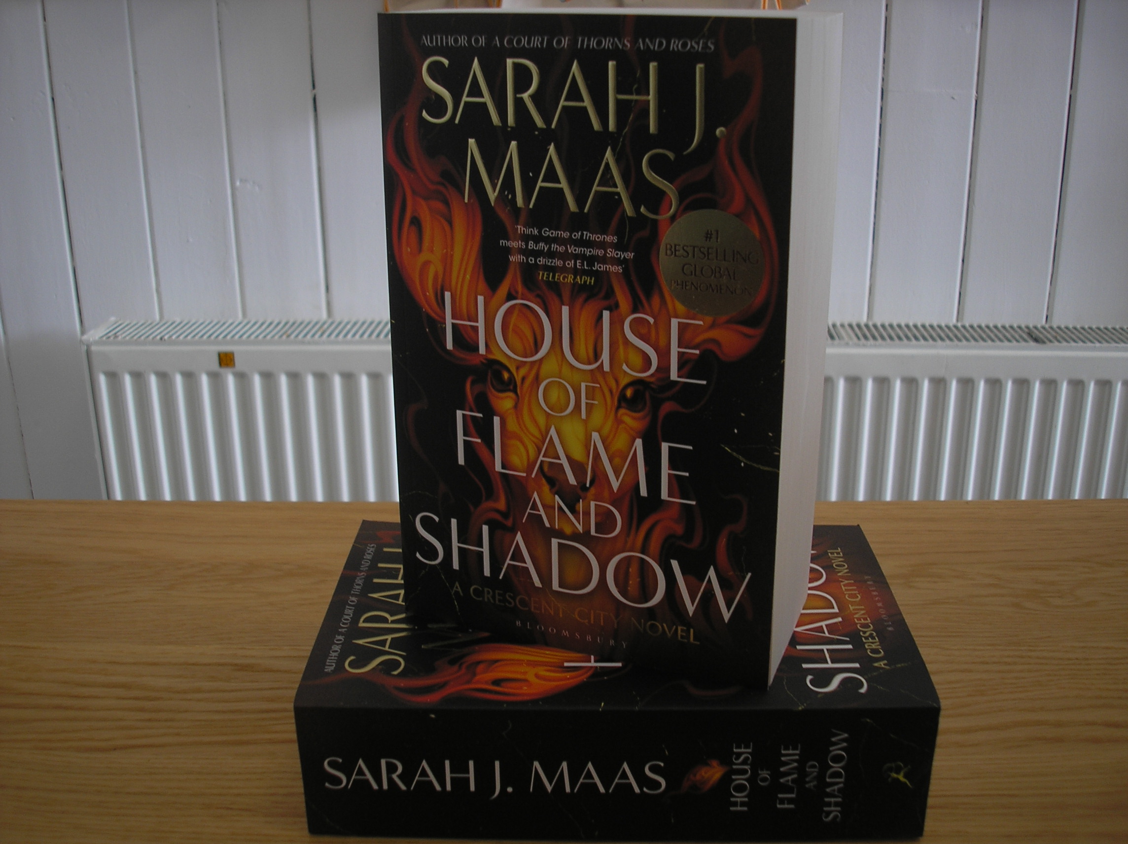 Image 0 of House of Flame and Shadow