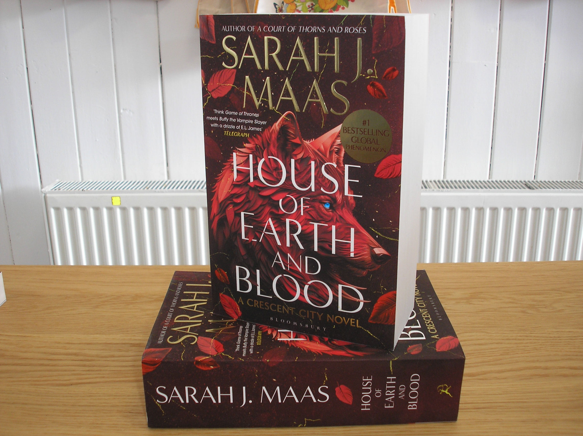 Image 0 of House of Earth and Blood
