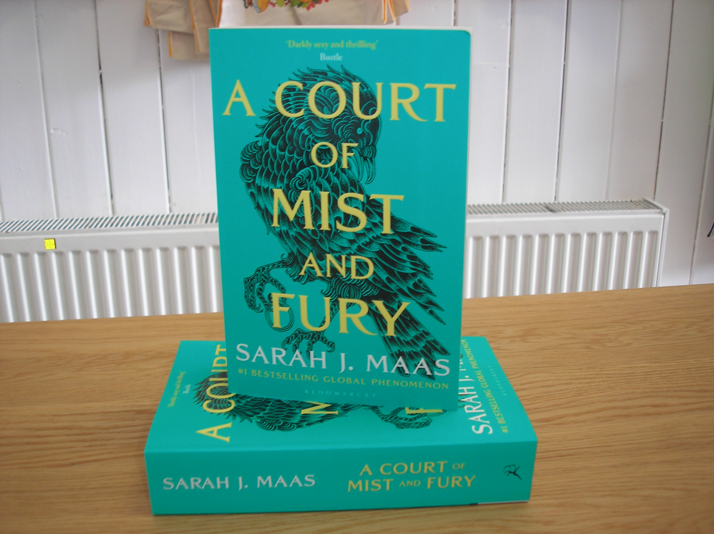 Image 0 of Court Of Mist & Fury