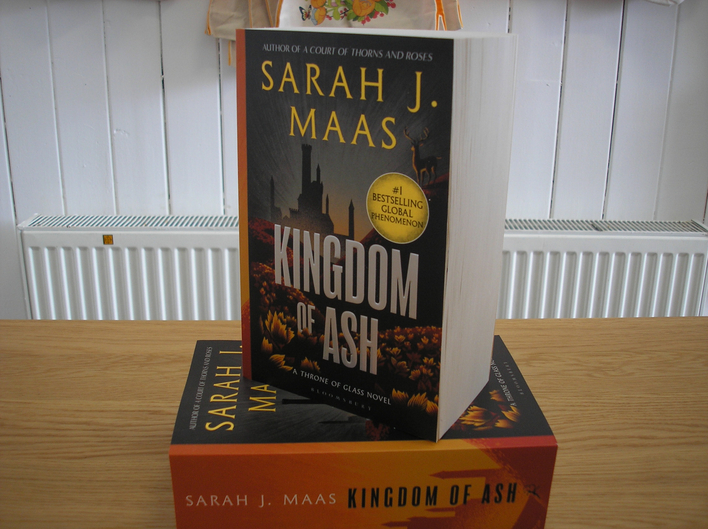 Image 0 of Kingdom of Ash