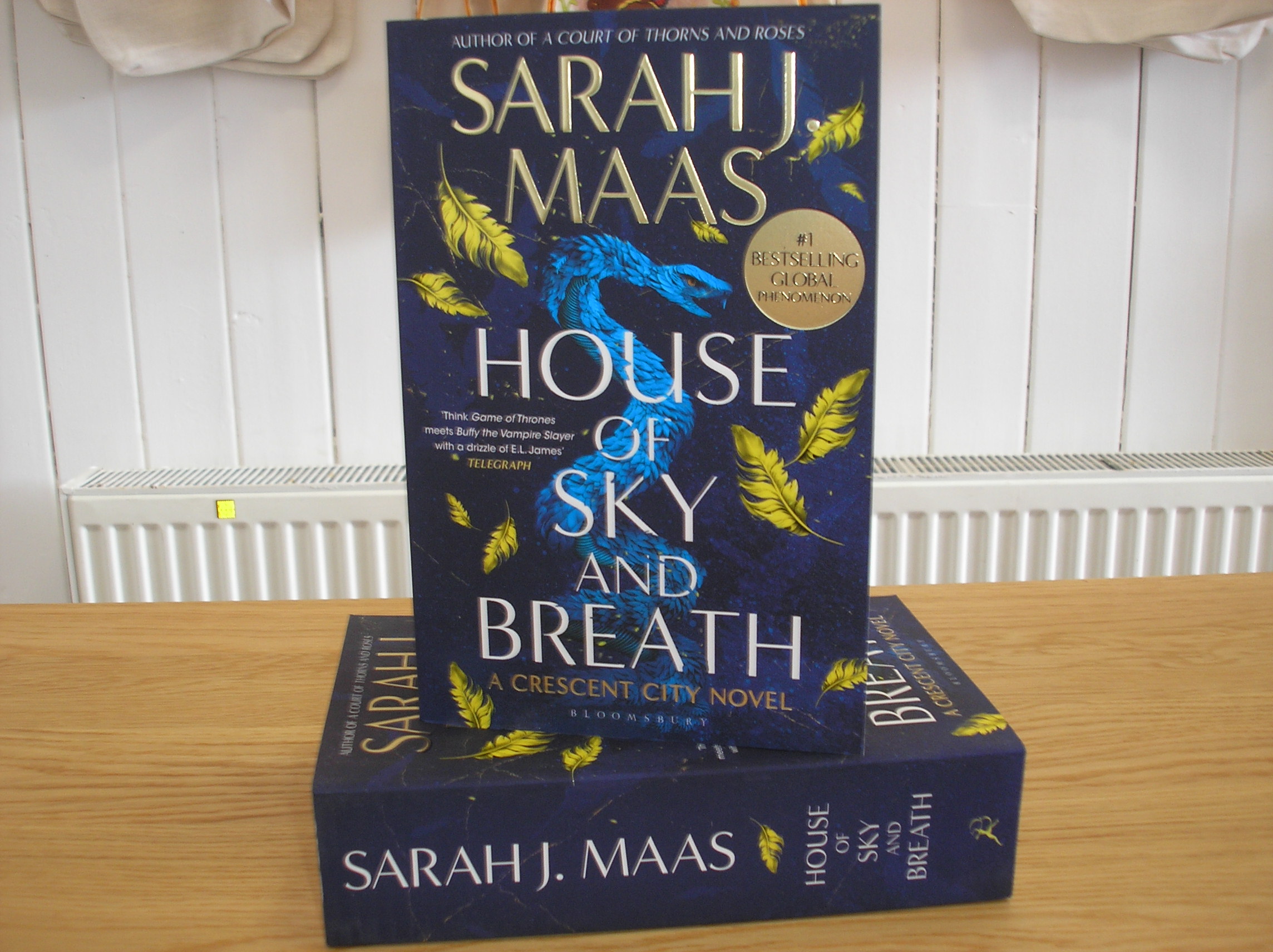 Image 0 of House of Sky and Breath