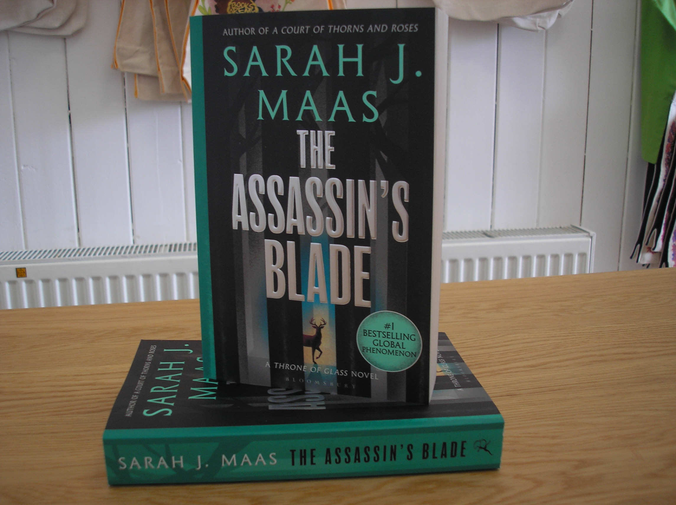 Image 0 of The Assassin's Blade